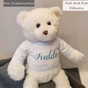 medium soft teddy bear for him or her